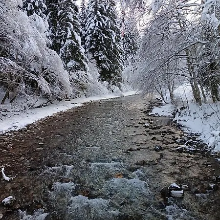 Les Contamines Montjoie- Les Palmes Appartement *